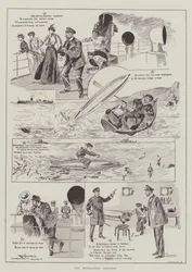 El torpedo refractario